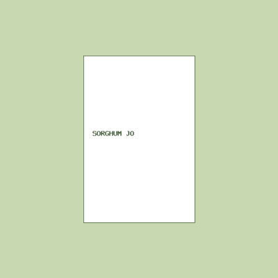 Sorghum (Jowar)